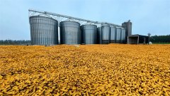 <b>每天都能卖出不</b>